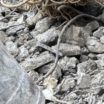 コンクリートガラやレンガなどのがれき類